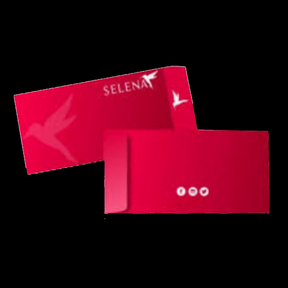 ENVELOPE 11x23cm | COM JANELA